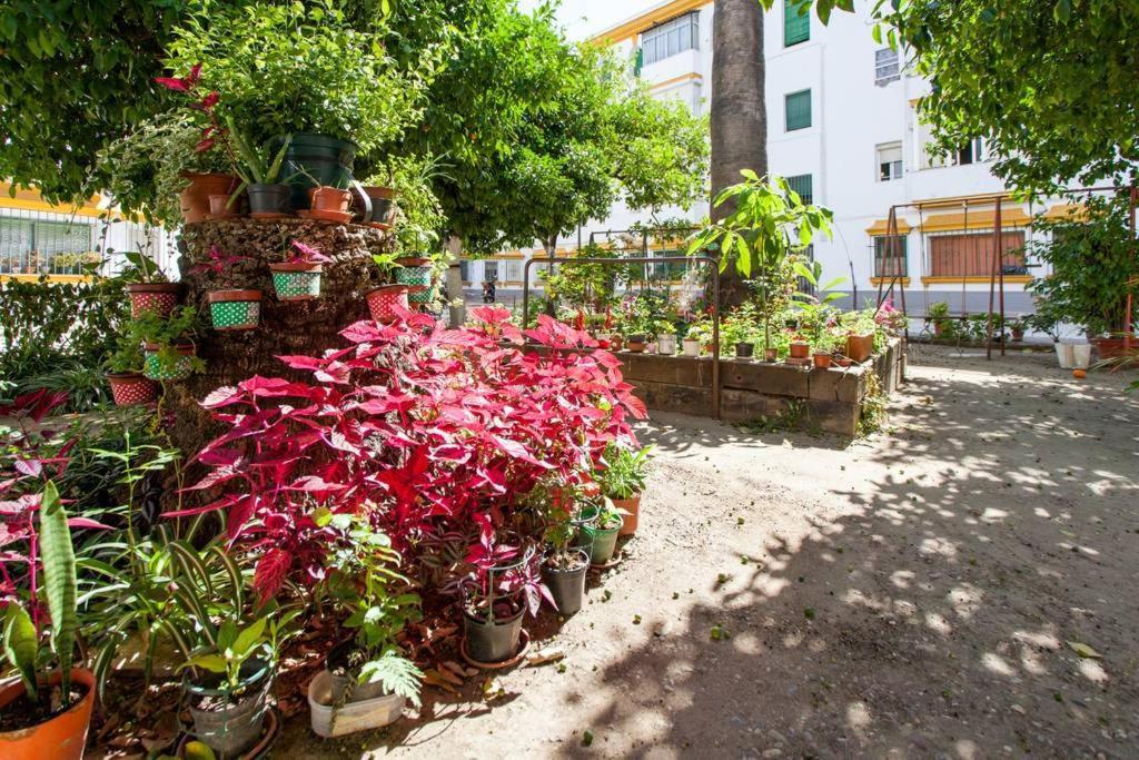 A Pies Del Alcazar Appartement